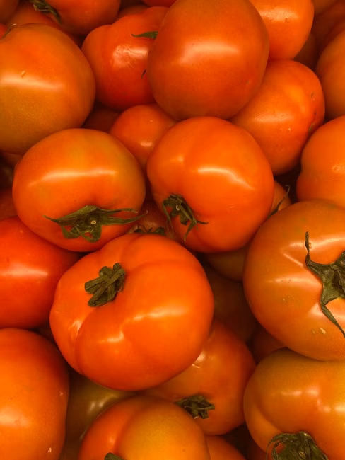 Molho de Tomate (340g)